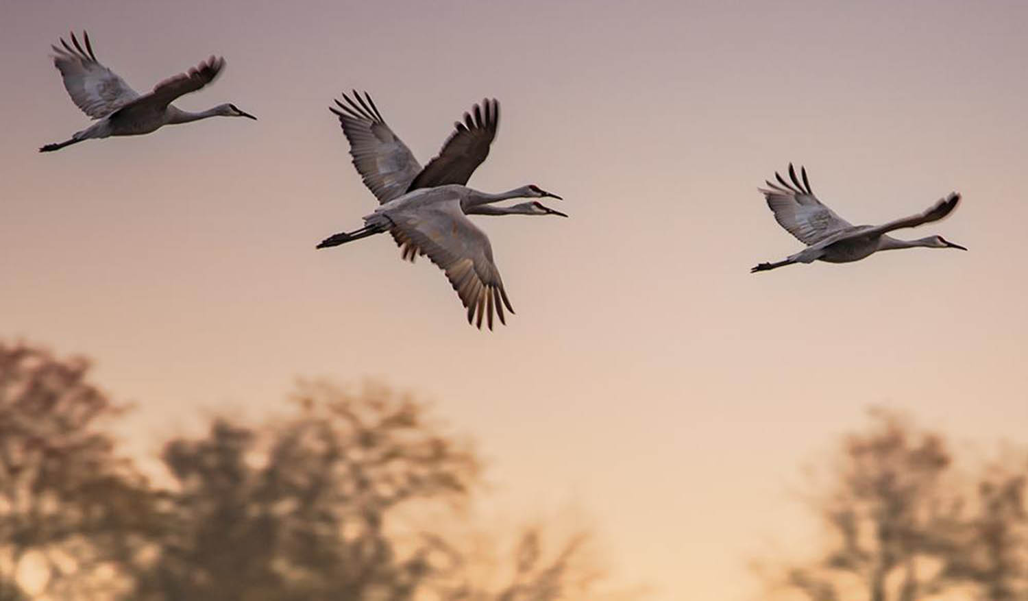 Free Website Template by GetTemplates.co