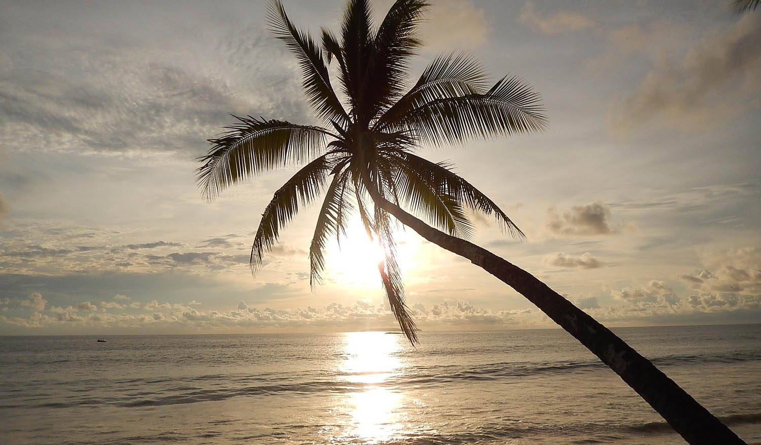 Free Website Template by GetTemplates.co