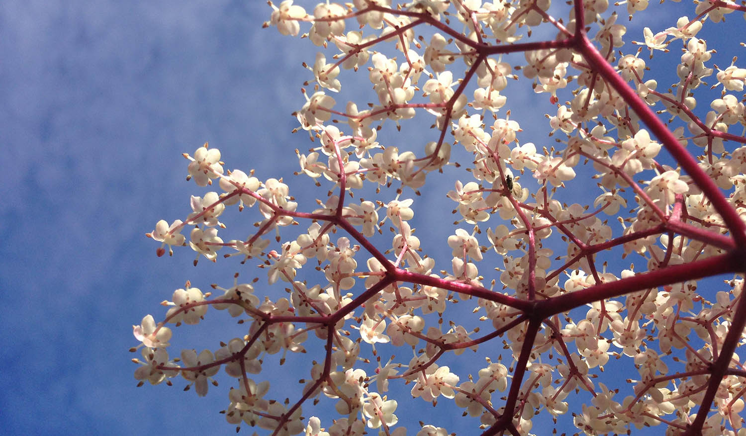 Free Website Template by GetTemplates.co